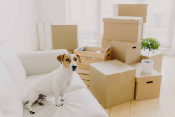 What are the Best Footwear Options for Standing All Day?